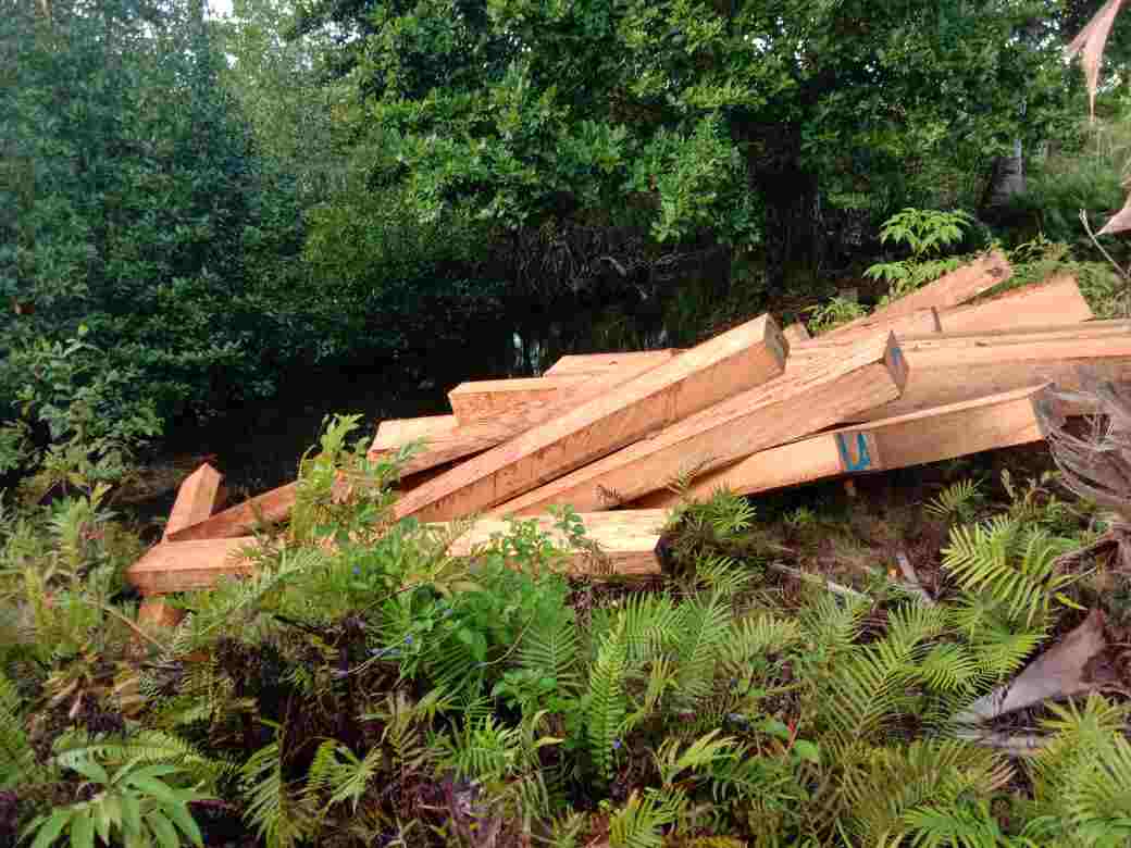 Penebangan Liar Di Obi Utara Halmahera Selatan Picu Bentrok Warga