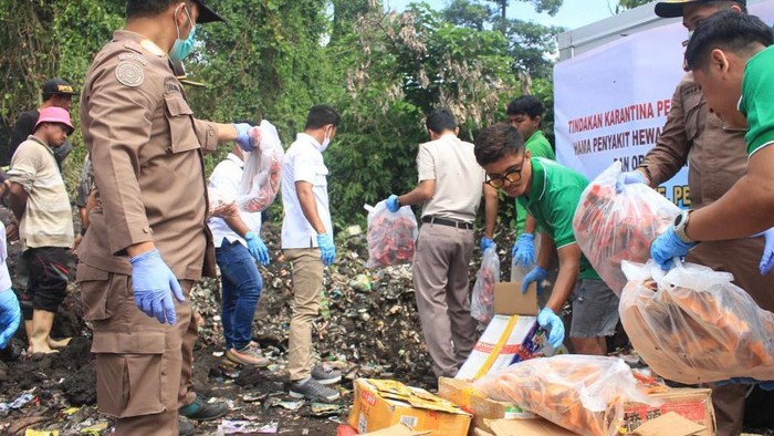 KKP Musnahkan 60 Kg Olahan Ikan Ilegal di Ternate