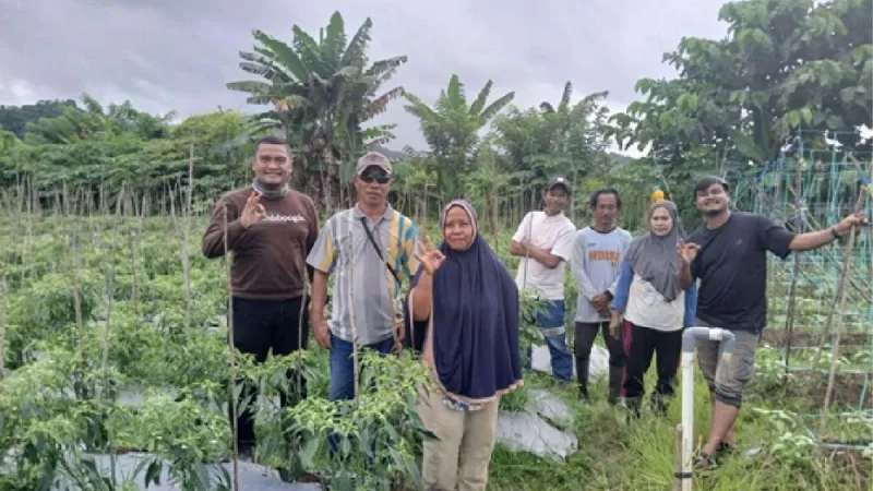 Program CSR Harita Nickel Angkat Ekonomi Petani di Pulau Obi