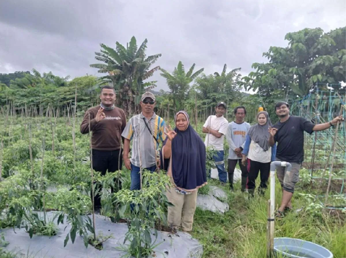 Program CSR Harita Nickel Angkat Ekonomi Petani di Pulau Obi
